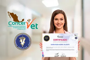 Imagen de certificado